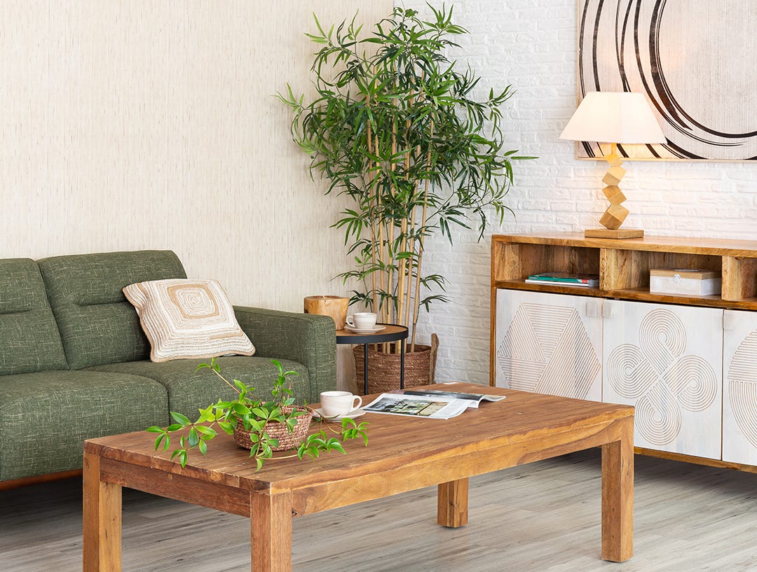 salon con mobiliario de madera y plantas