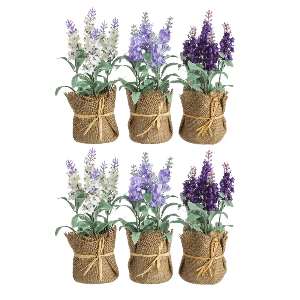 Set de macetas pequeñas con lavanda