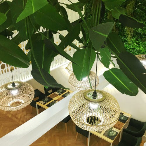 Lámparas con plantas en la decoración de restaurante