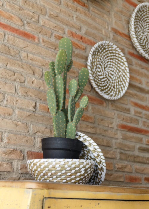 Cactus sobre mueble y accesorios decorativos