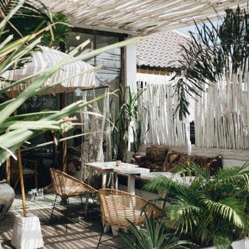 Terraza chill out con plantas tropicales