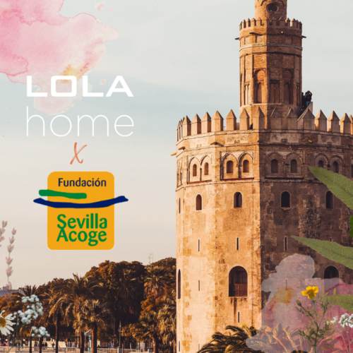 Colaboracion de RSC de LOLAhome por FSA