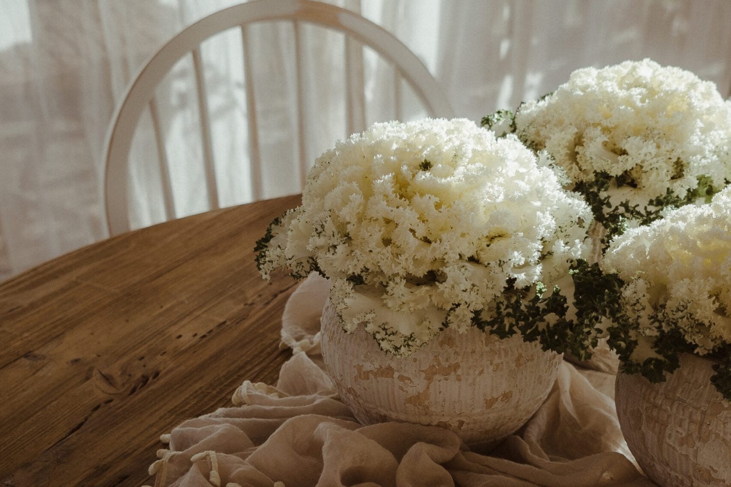 set de maceteros con flores blancas para decorar una mesa de comedor