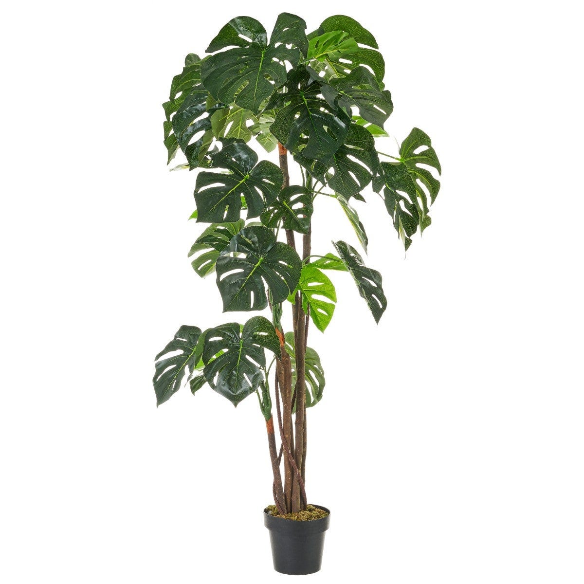 Monstera artificial de 170 cm
